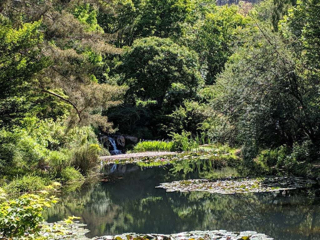 Quarryhill Botanical Garden | 12841 Sonoma Hwy, Glen Ellen, CA 95442, USA | Phone: (707) 996-3166