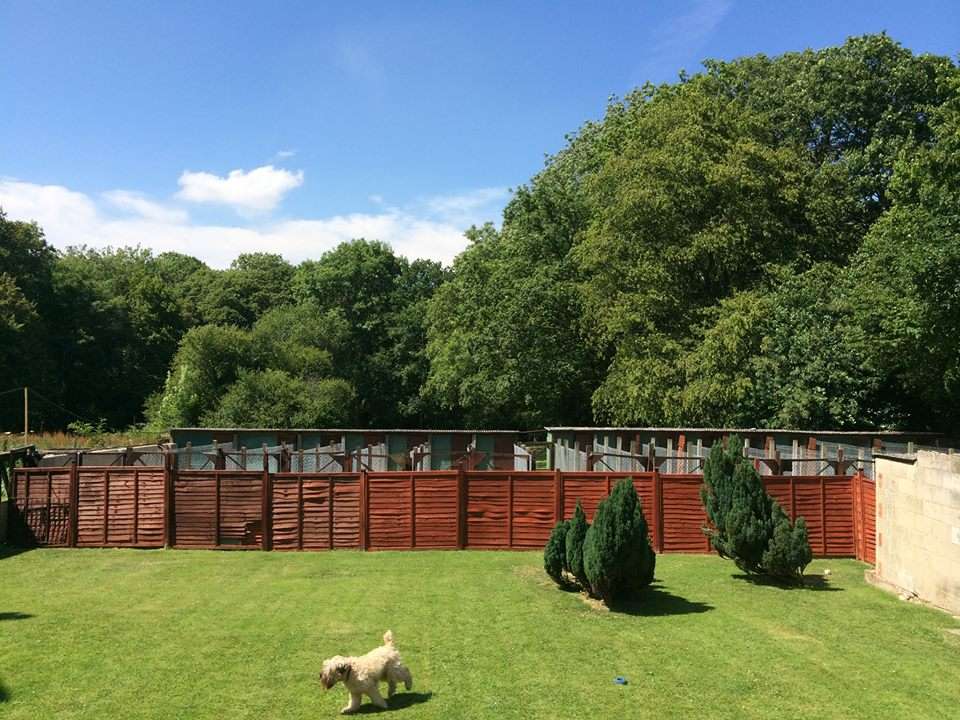 Keepers Mount Kennels & Cattery | The Mount, Rusper, Horsham RH12 4RL, UK | Phone: 01293 871304