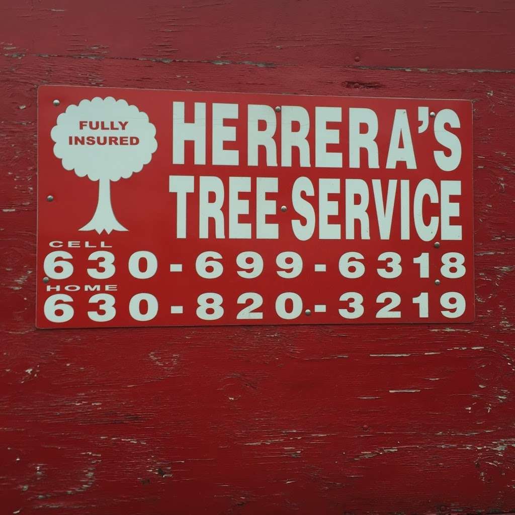 Herreras Tree Services | 786 Eagle Dr, Aurora, IL 60506, USA | Phone: (630) 699-6318