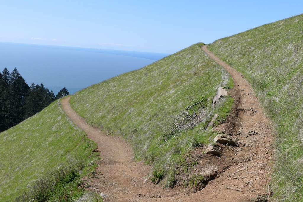 Matt Davis Trail Head | Matt Davis Trail, Stinson Beach, CA 94970