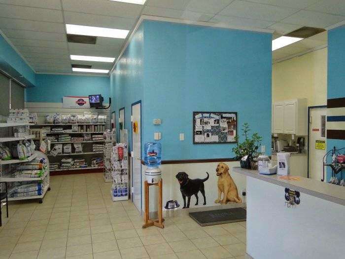 VCA Pet Doctor Animal Hospital | 1421 E Spring Valley Rd, Richardson, TX 75081, USA | Phone: (972) 699-9999