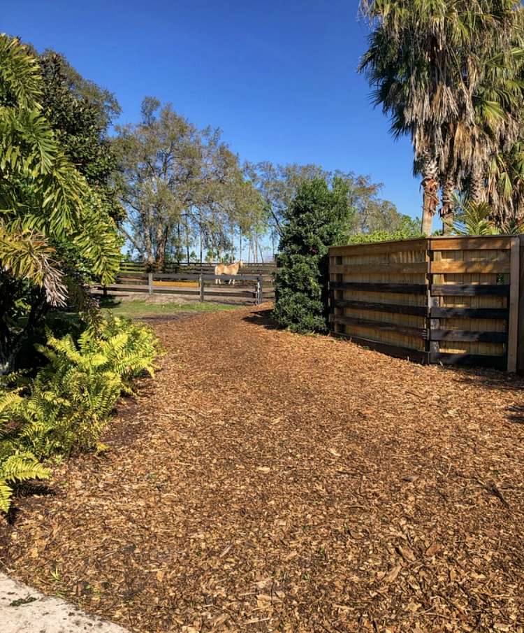 SeaCrest Equestrian Center | 4316 Avalon Rd, Winter Garden, FL 34787, USA | Phone: (352) 283-1025