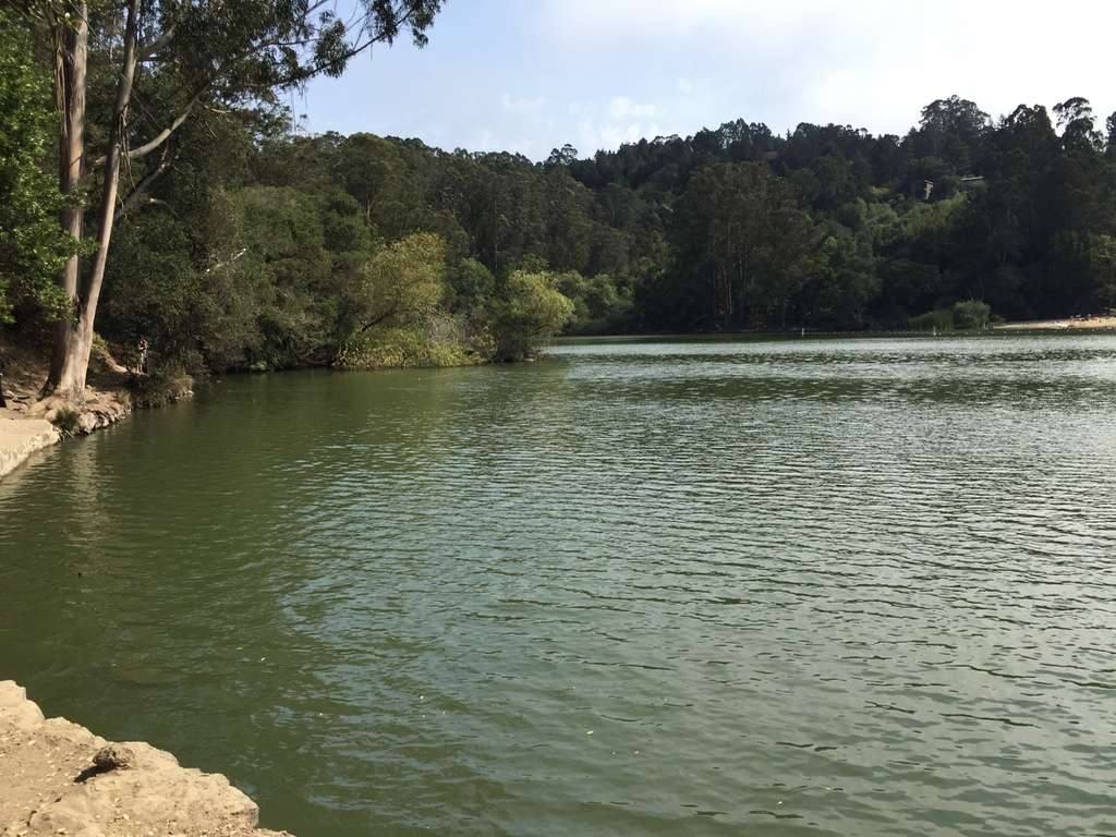 Lake Anza Parking Lot | Lake Anza Rd, Berkeley, CA 94708, USA