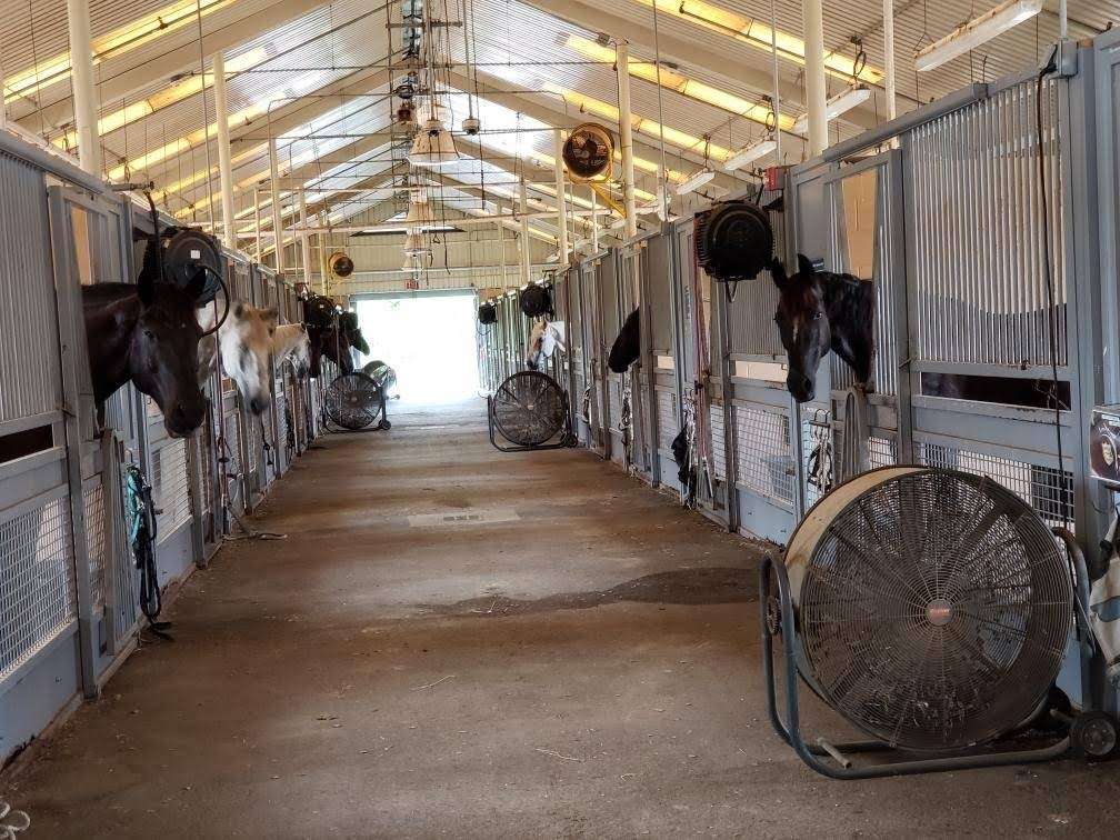 Houston Police Department Mounted Patrol Barn | 5005 Little York Rd, Houston, TX 77016 | Phone: (832) 394-0399