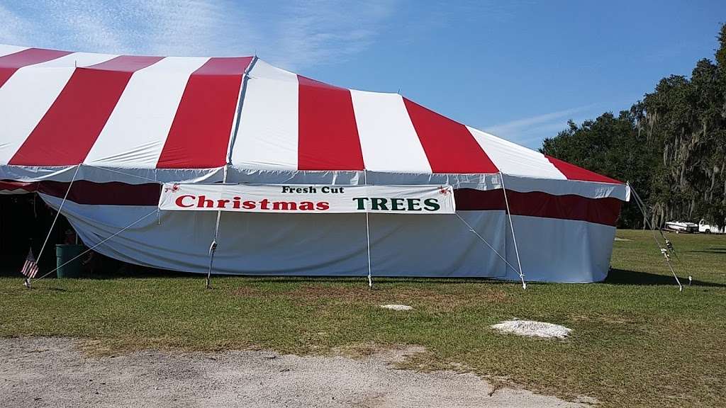 Bgs Christmas tree Farm | hwy 17 and, Georgia St, Bartow, FL 33830, USA | Phone: (863) 800-2874