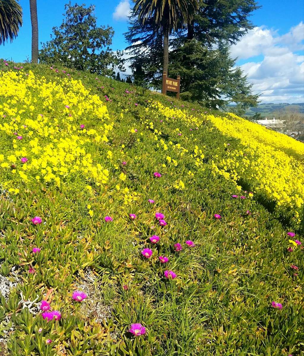 Penry Park | Petaluma, CA 94952, USA