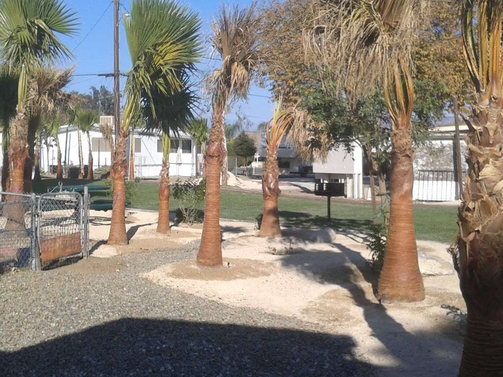 Santiago Palm Vista Mobile Home and RV Community - RV Storage | 35099 CA-74, Hemet, CA 92545, USA | Phone: (951) 926-1755