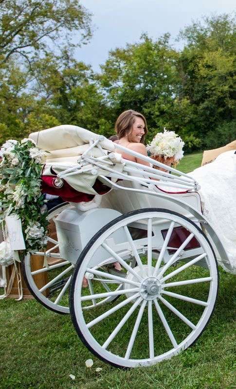 Mane Event Carriages | 90 Ader Ave, Clayton, IN 46118, USA | Phone: (317) 702-4185