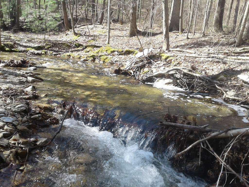 Kings Gap Environmental Education Center | 500 Kings Gap Rd, Carlisle, PA 17015, USA | Phone: (717) 486-5031