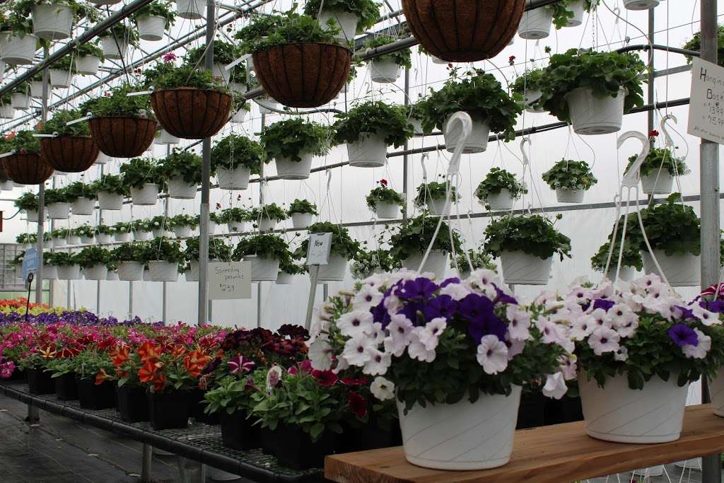 Serenity Ridge Greenhouse | 160 Bethany Rd, Ephrata, PA 17522 | Phone: (717) 859-6594