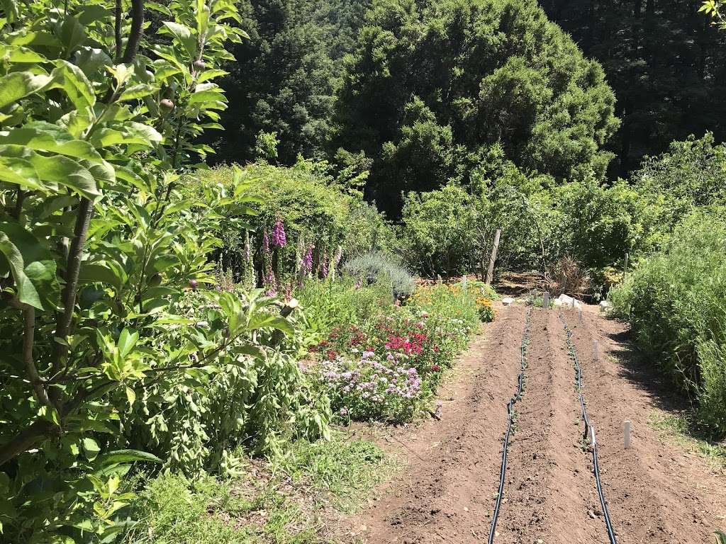 Alan Chadwick Garden | 245 McLaughlin Dr, Santa Cruz, CA 95064, USA