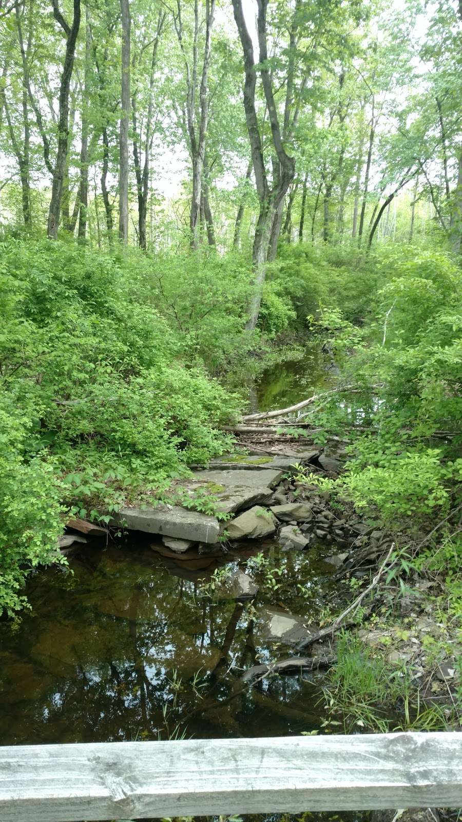 Baxtertown Woods Wildlife Management Area | 260 Bedford Ln, Fishkill, NY 12524, USA