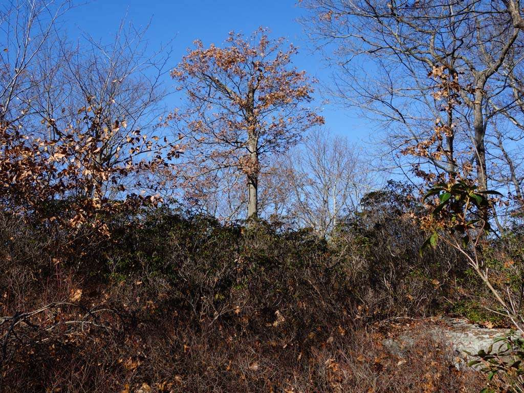 Yellow Triangle Trail | Southfields, NY 10975, USA