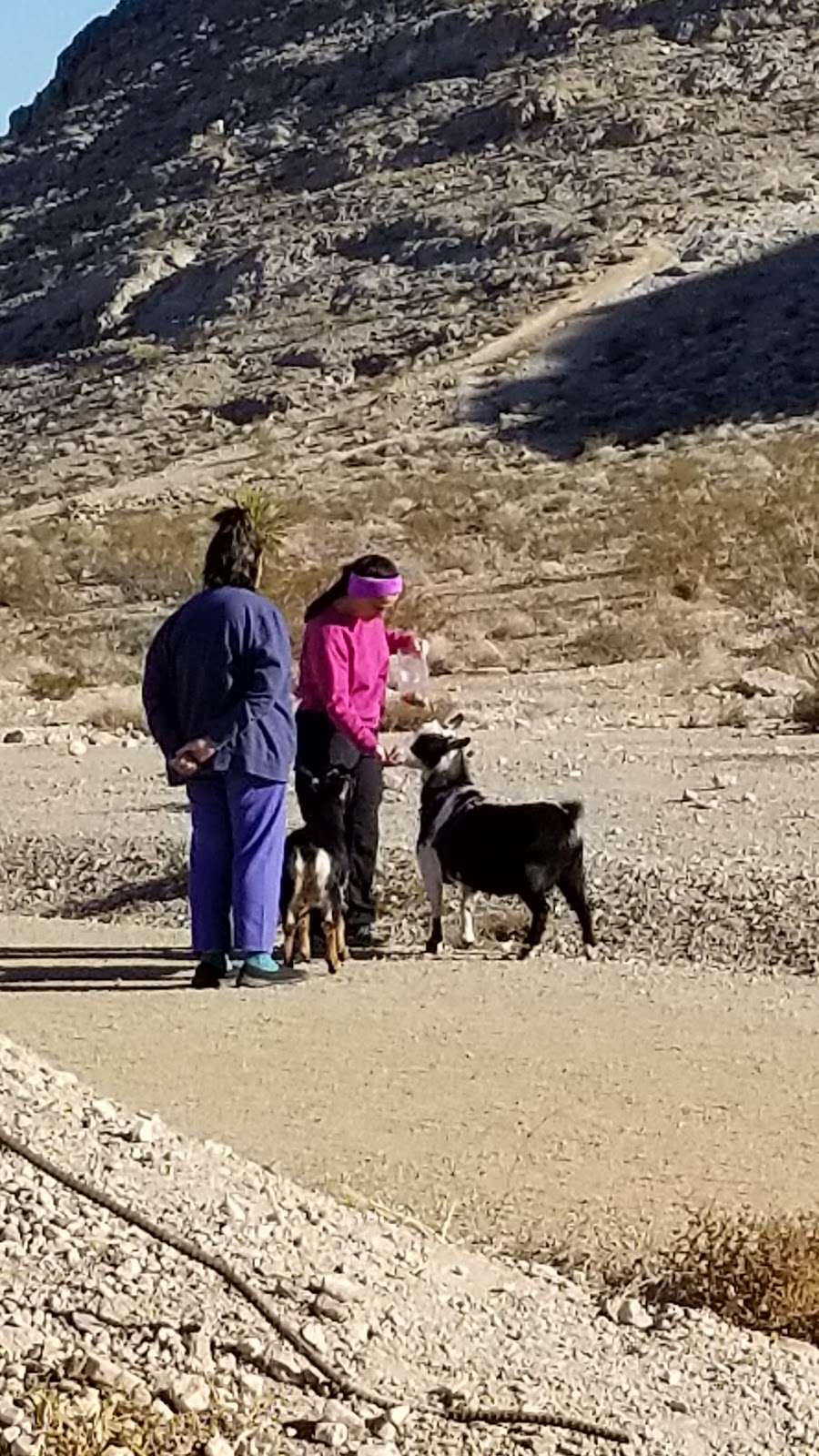 Lone Mountain Trailhead | Las Vegas, NV 89129, USA