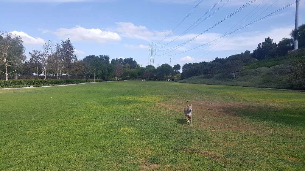 Wagsdale Dog Park (Private-access) | Cecil Pasture Rd, Ladera Ranch, CA 92694, USA | Phone: (949) 302-8100