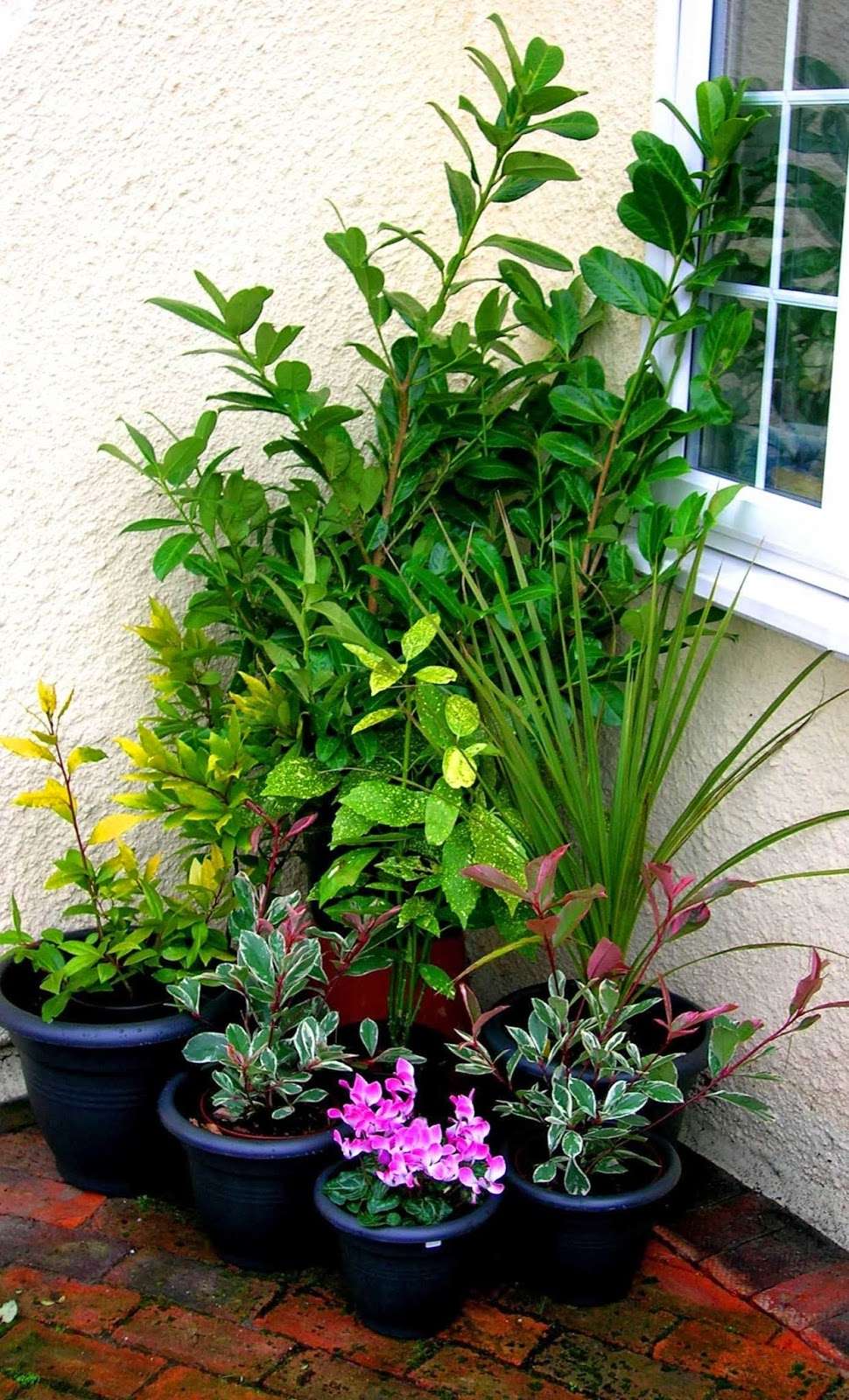 The Tree Garden Kent | 334 Stangate Rd, Birling, West Malling ME19 5JL, UK | Phone: 01634 245805