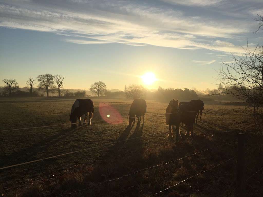 Hayes Street Farm | 239 Hayes Ln, Bromley BR2 7LB, UK | Phone: 020 8462 1186