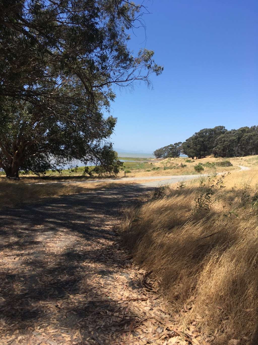 Point Pinole Regional Park - Dotson Family Marsh | Richmond, CA 94801, USA | Phone: (888) 327-2757