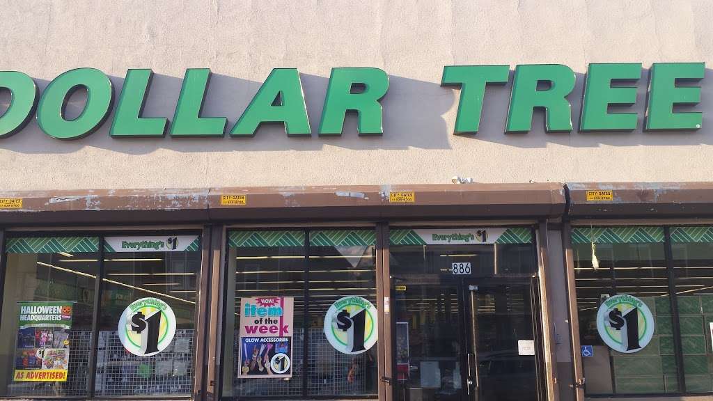 Dollar Tree | 886 Springfield Ave, Irvington, NJ 07111, USA | Phone: (973) 371-1215