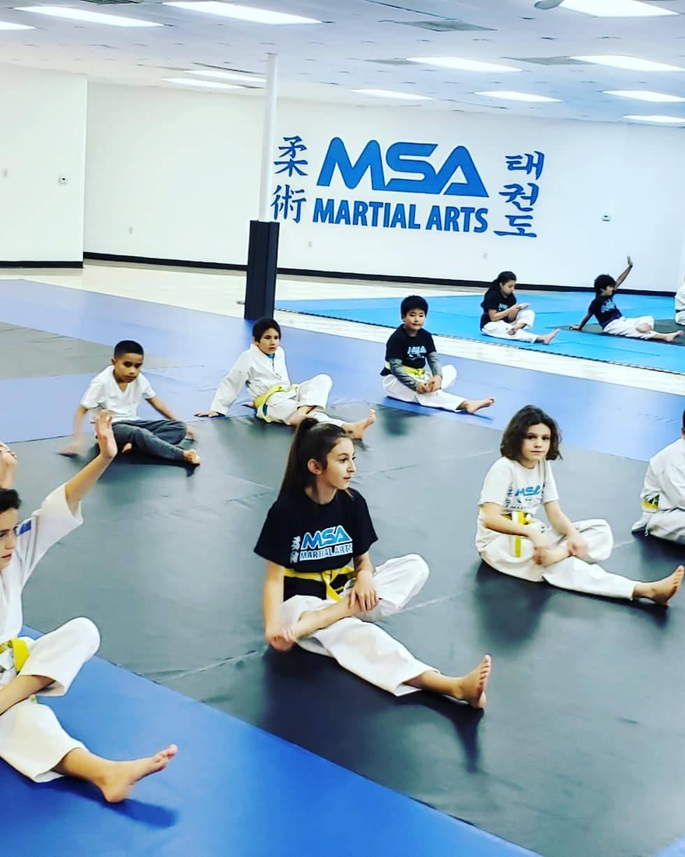 MSA Martial Arts | 6350 Glenview Dr #104, North Richland Hills, TX 76180, USA | Phone: (817) 962-8802