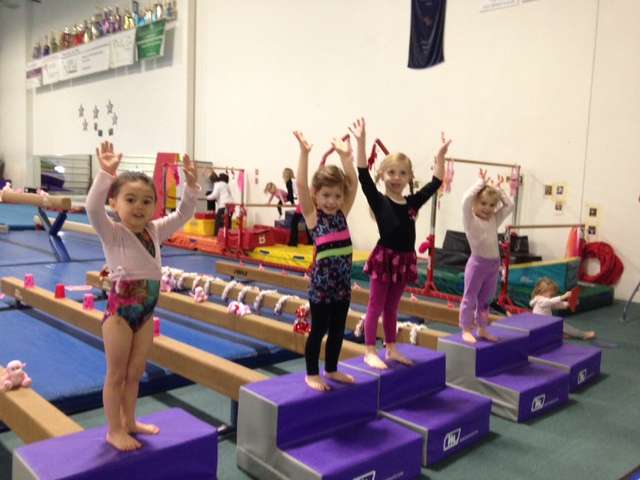 Libertyville Gymnastics Academy | 2610 Commerce Dr, Libertyville, IL 60048 | Phone: (847) 816-6618