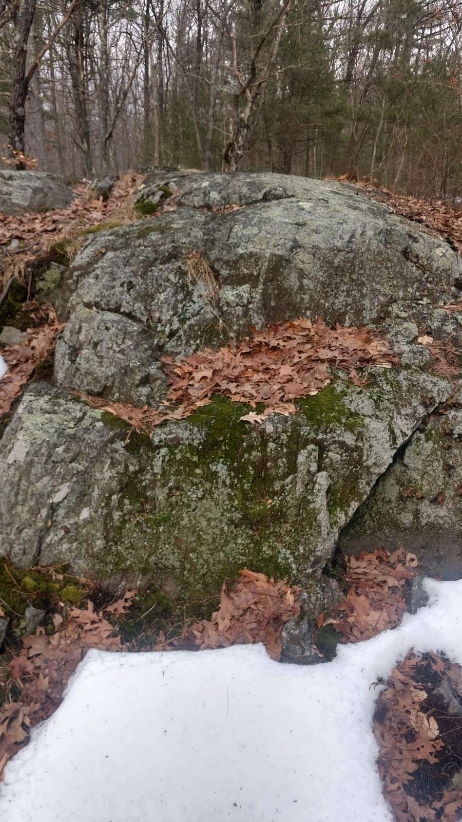 Southern outlook Mt Pisgah trail | 333 Howard St, Northborough, MA 01532, USA