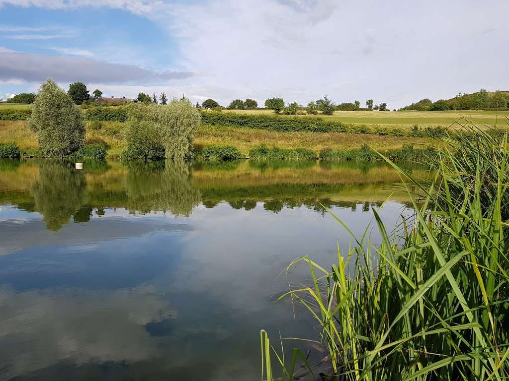 Rib Valley Fishing Lakes | Westmill Farm, Ware, Hertfordshire, Ware SG12 0ES, UK | Phone: 01920 462200