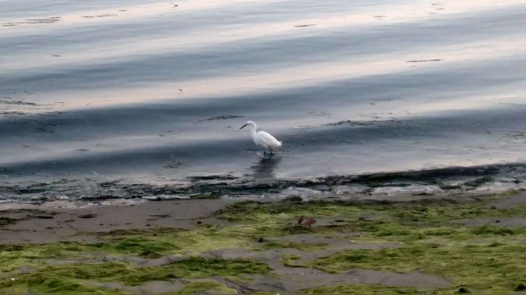 Marine Stadium Reserve | Long Beach, CA 90803, USA