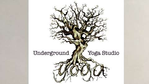 Underground Yoga Studio | 20 Delaware Ave, Delaware Water Gap, PA 18327, USA | Phone: (570) 534-0438