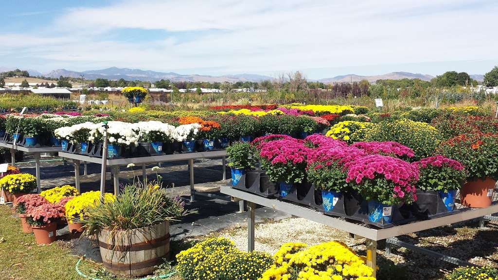 Loveland Garden Center & Nursery | 1801 S Lincoln Ave, Loveland, CO 80537, USA | Phone: (970) 669-3577