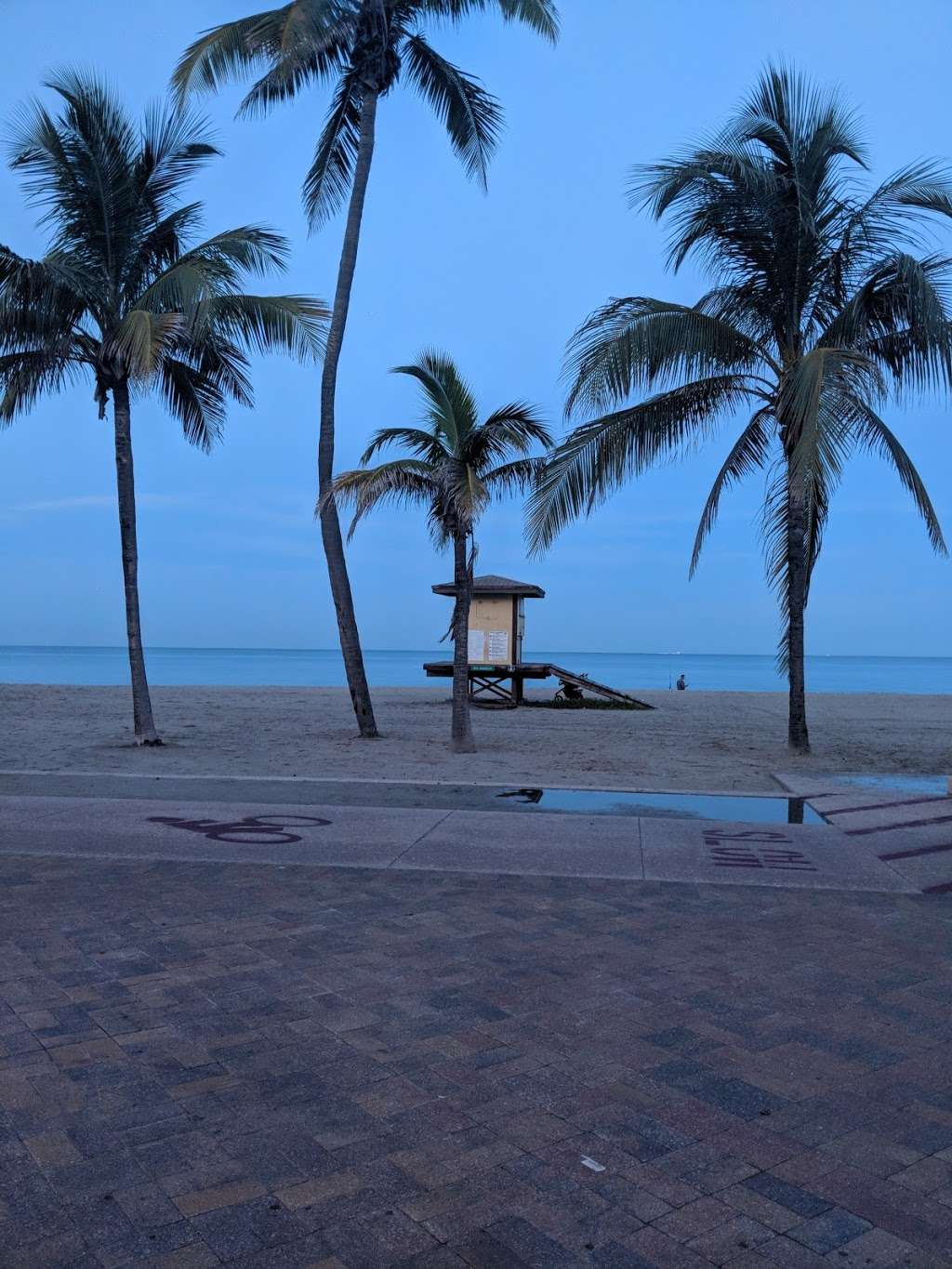 Dream Inn | 2710 N Ocean Dr, Hollywood, FL 33019, USA | Phone: (954) 342-9835