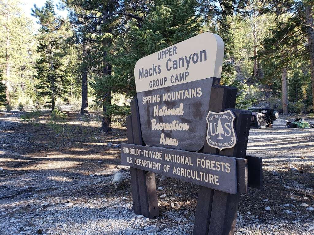 Macks Canyon open campground | Las Vegas, NV 89124