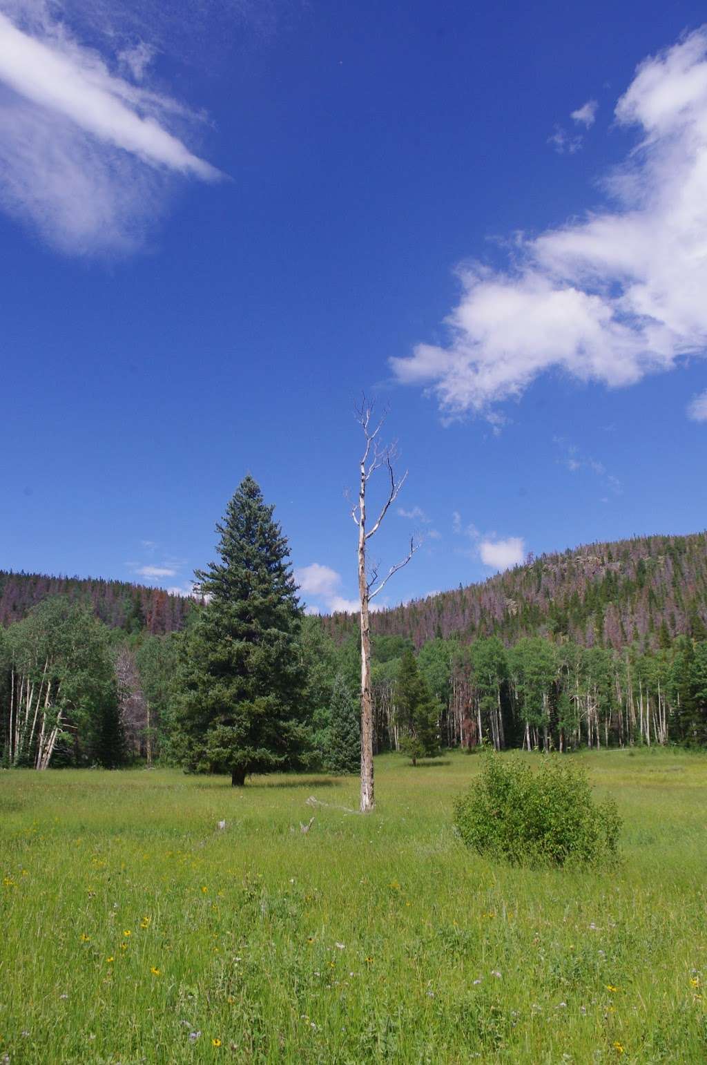 Mill Creek Basin | Estes Park, CO 80517, USA