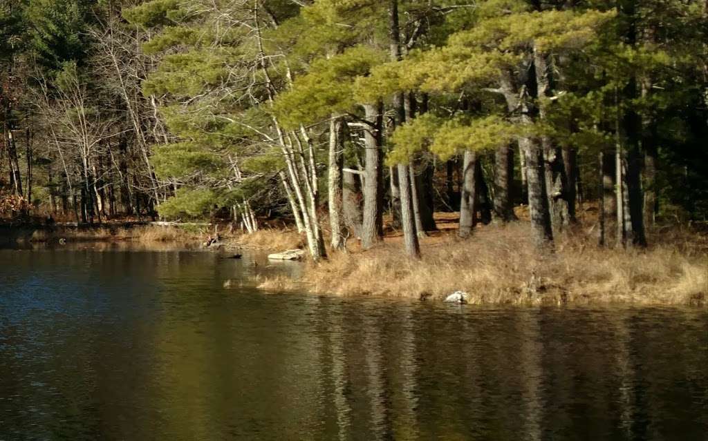 Fosters Pond Natural Area | 105 Londonderry Rd, Windham, NH 03087, USA | Phone: (603) 432-3806