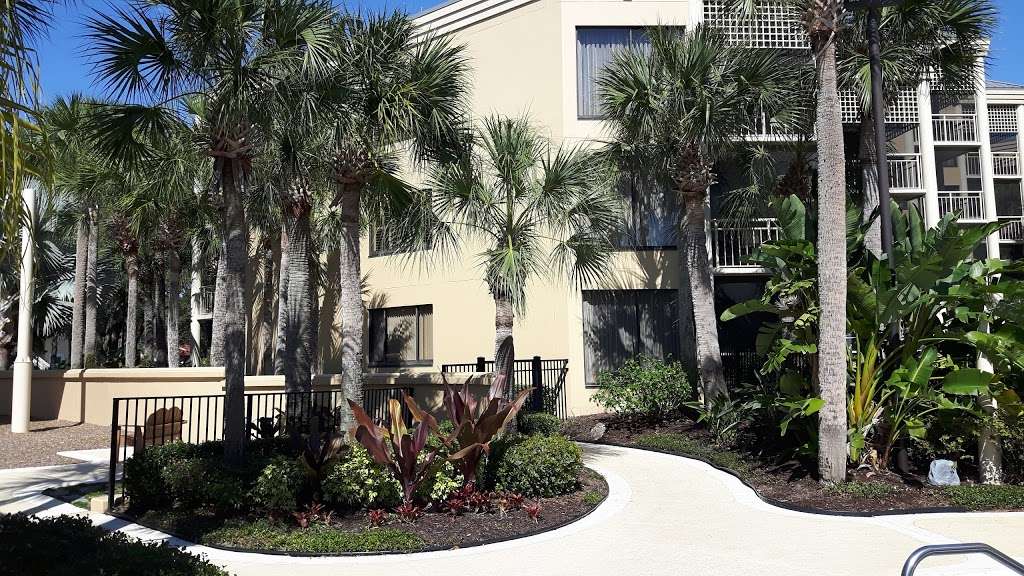 Marriotts Royal Palms | 8404 Vacation Way, Orlando, FL 32821, USA | Phone: (407) 238-6200