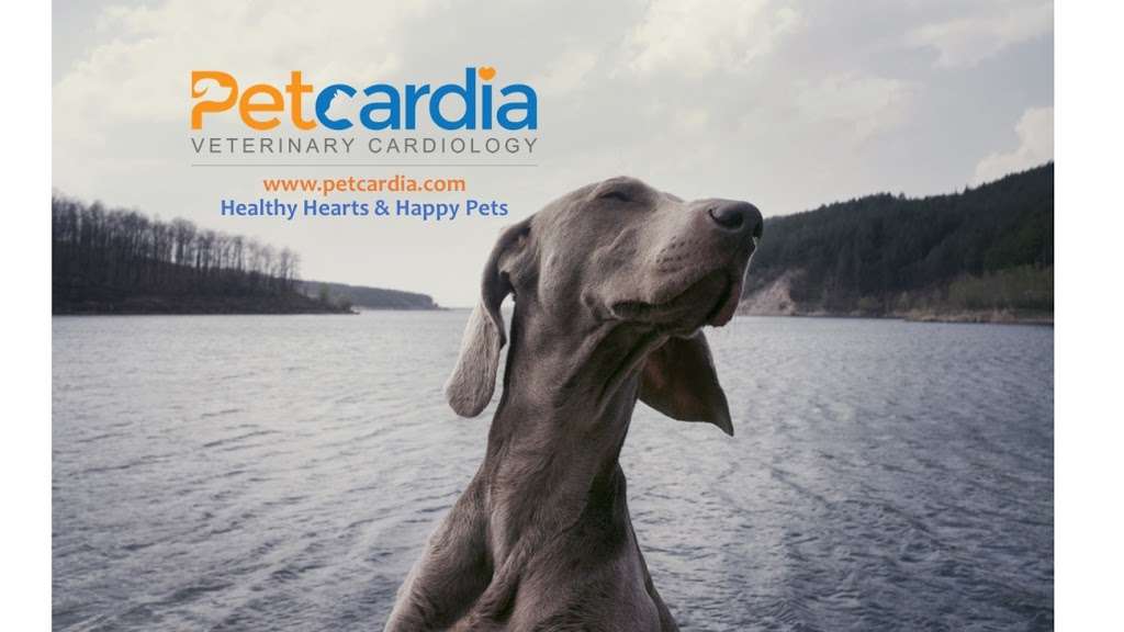 Petcardia Veterinary Cardiology - Northern Colorado | 227 W 67th Ct, Loveland, CO 80538, USA | Phone: (970) 775-8002