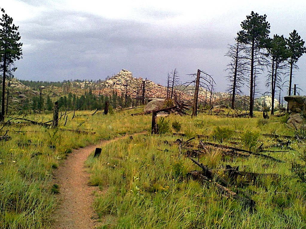 Sandy Wash Trail | Pine, CO 80470, USA