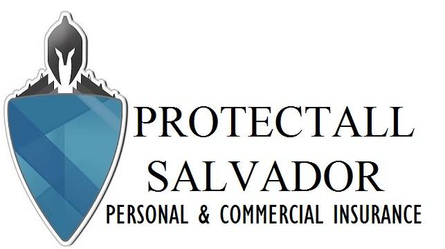 PROTECTALL SALVADOR | 1365 Prospect Ave, Des Plaines, IL 60018, USA | Phone: (847) 635-8655