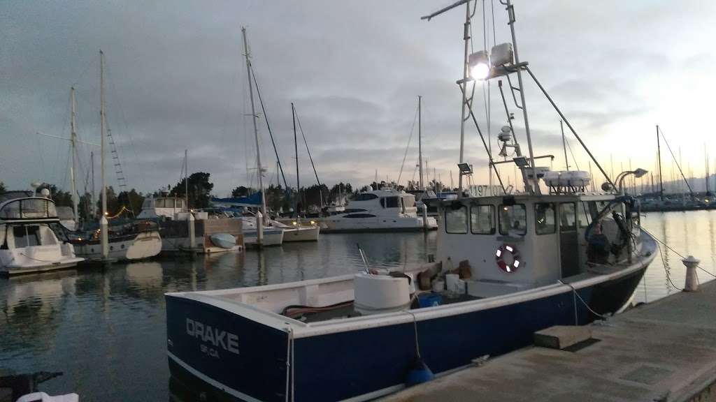 Emeryville Sportfishing | 3310 Powell St, Emeryville, CA 94608 | Phone: (510) 652-3403