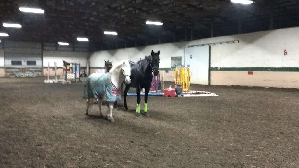 Woodstock Equestrian | 13401 IL-176, Woodstock, IL 60098, USA | Phone: (815) 814-6029