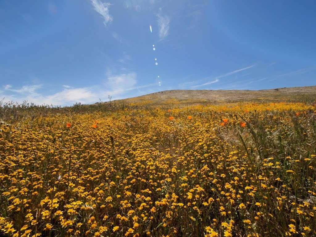 Red Rock Canyon State Park | 15101 Lancaster Rd, Lancaster, CA 93536, USA | Phone: (661) 946-6092