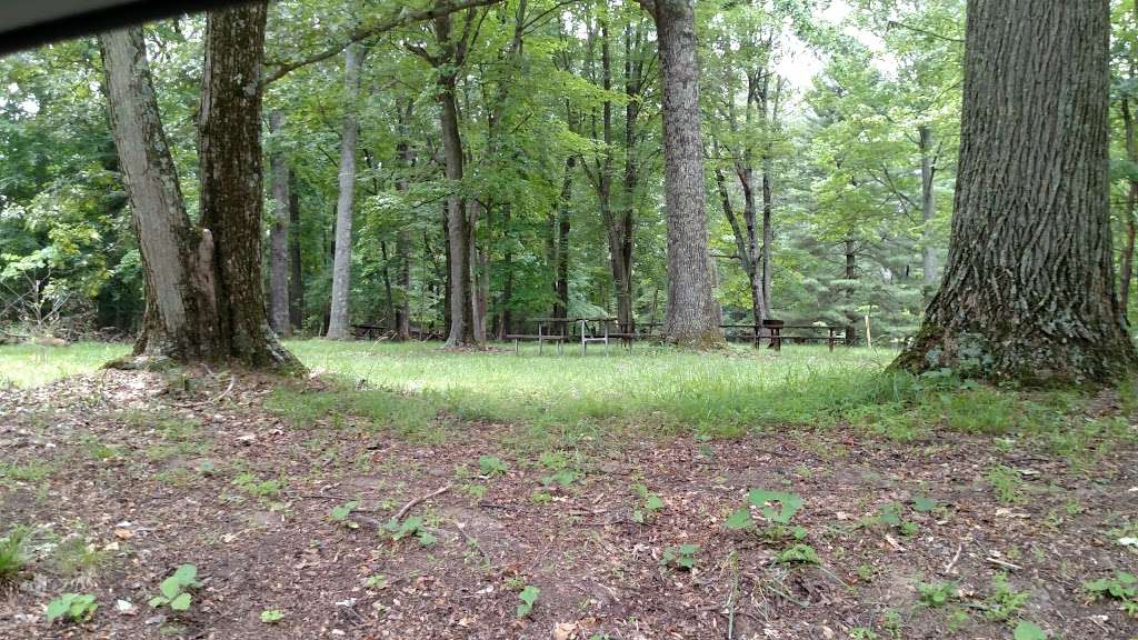 Rocks State Park - Rock Ridge Picnic Area | Jarrettsville, MD 21084, USA