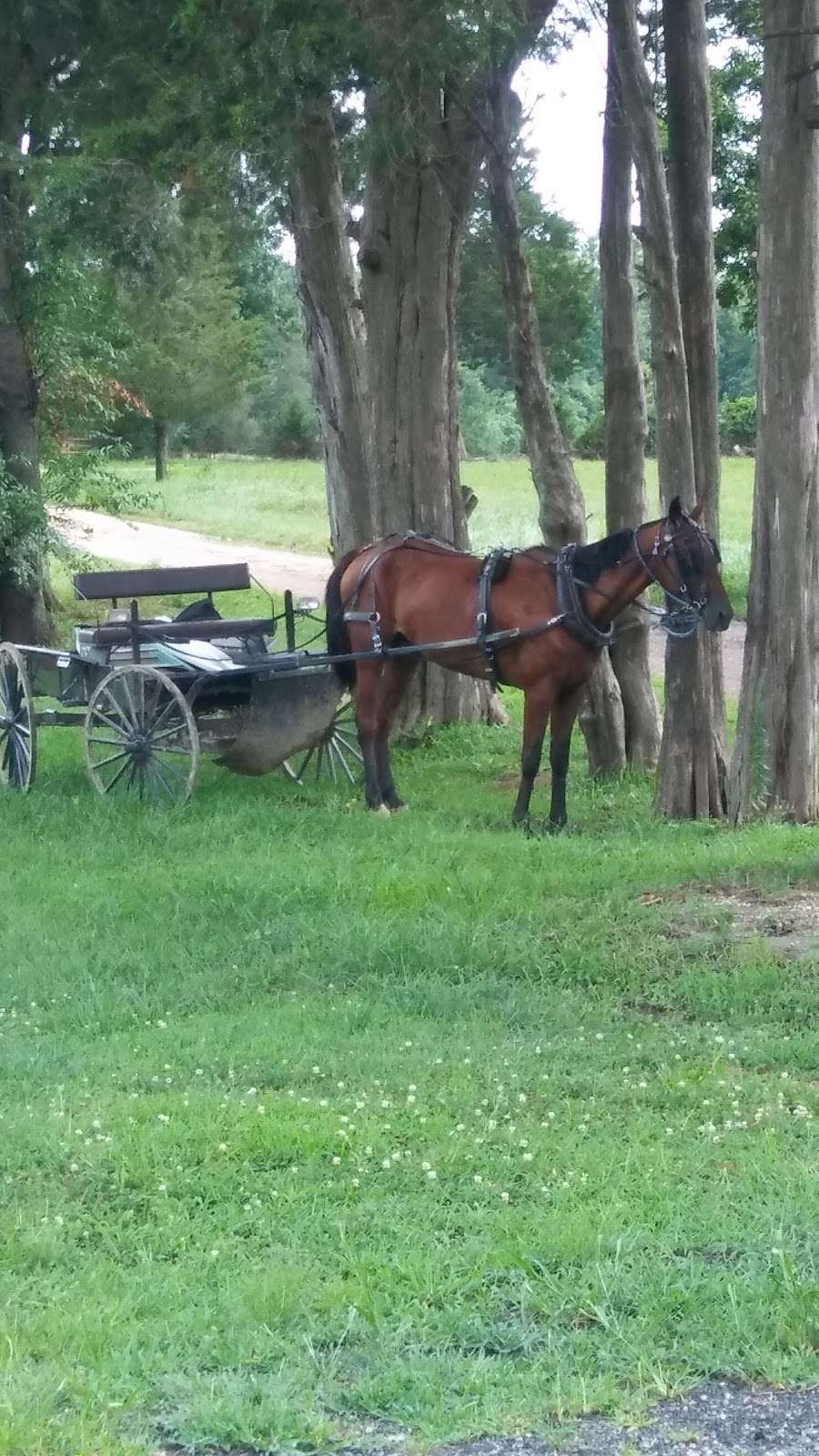 Friendship Farm Park | 4705 Friendship Landing Rd, Nanjemoy, MD 20662