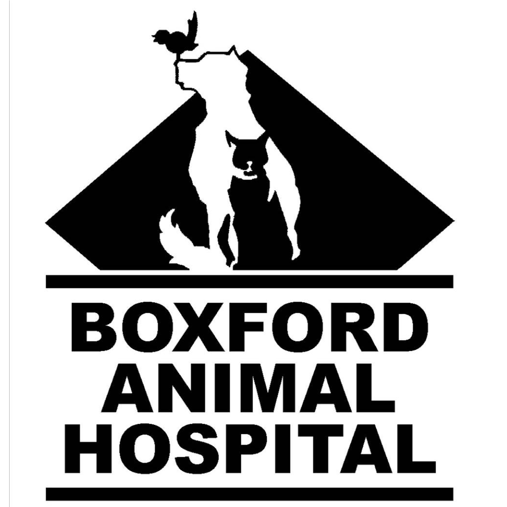 Boxford Animal Hospital | 200 Washington St #4, Boxford, MA 01921, USA | Phone: (978) 352-8385
