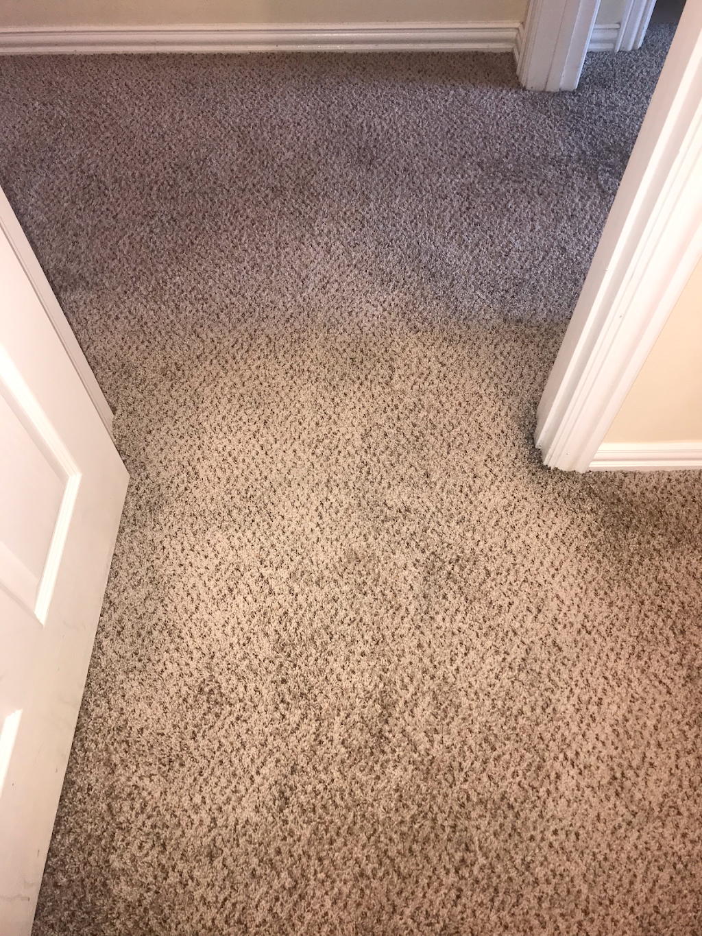 Smart Chem-Dry | 3603 Claverton Dr, Houston, TX 77066, USA | Phone: (832) 833-6175 Smart Chem-Dry | 3603 Claverton Dr, Houston, TX 77066, USA | Phone: (832) 833-6175