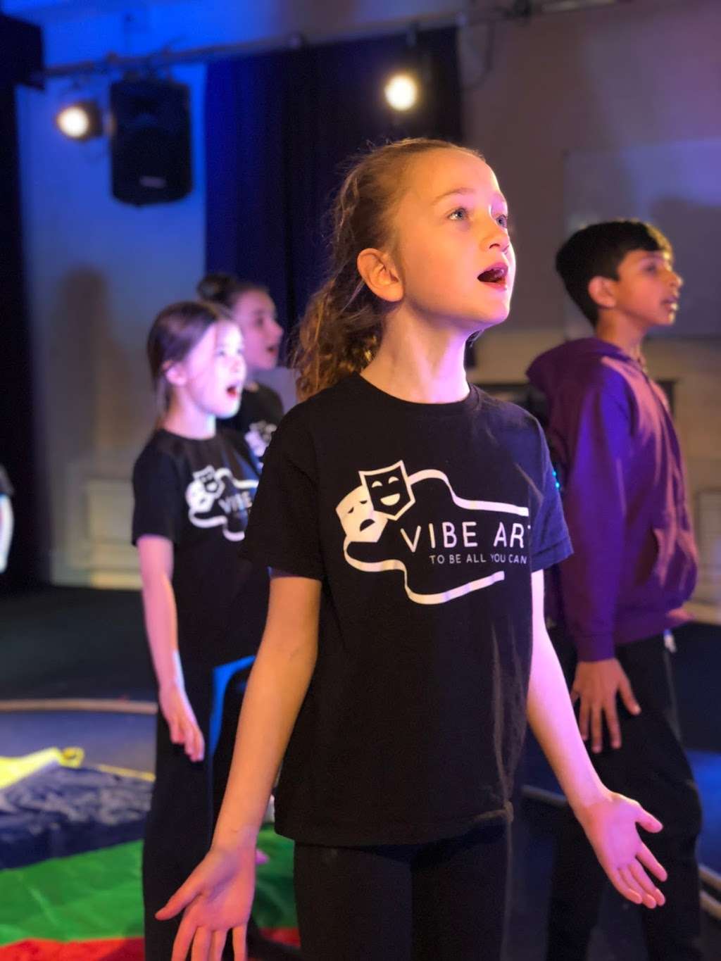 Vibe Arts Bromley | Bickley Park School, 24 Page Heath Ln, Bromley BR1 2DS, UK | Phone: 07507 342711