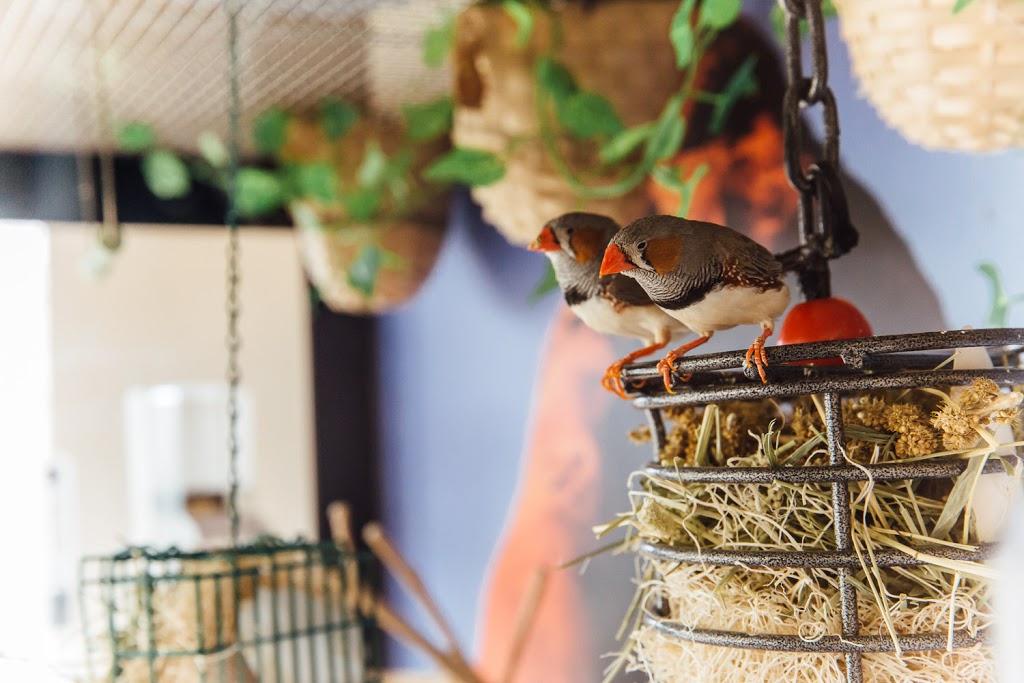 The Woods of Caledonia Memory Care | 5737 Erie St, Racine, WI 53402, USA | Phone: (262) 639-6015