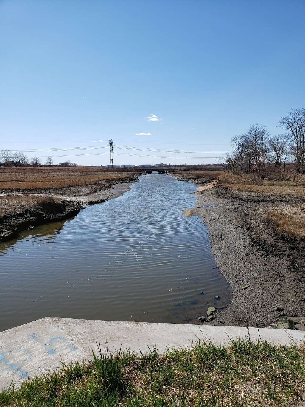 Saw Mill Creek Marsh | South Ave, Staten Island, NY 10314, USA | Phone: (212) 639-9675