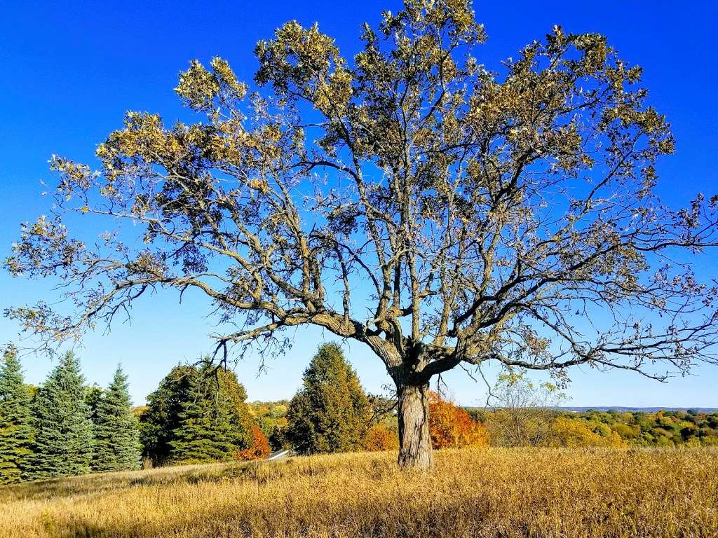 Glacial Cone Park | Madison St, Waukesha, WI 53188, USA | Phone: (262) 524-3737