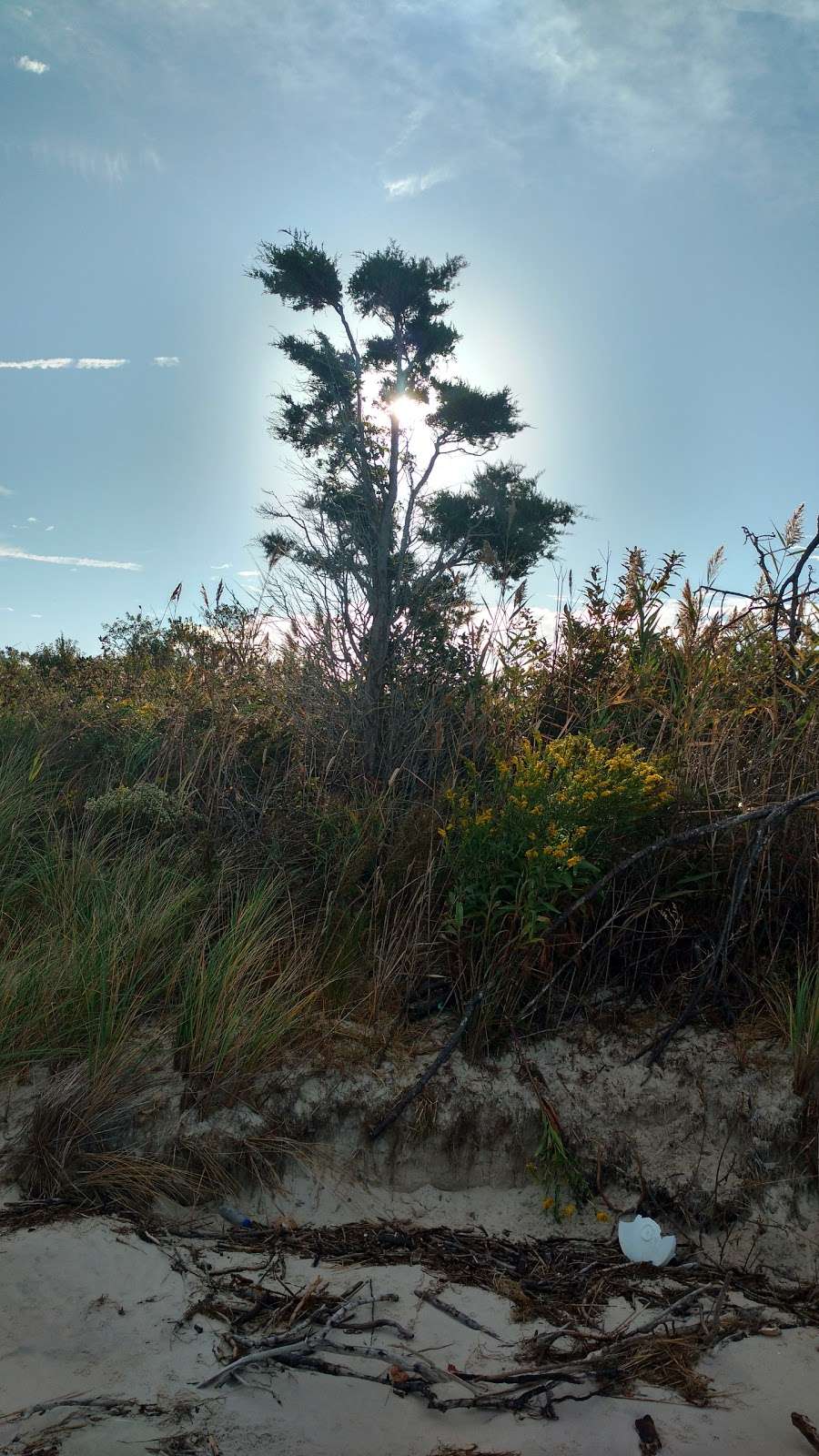 Martin National Wildlife Refuge | Ewell, MD 21824, USA